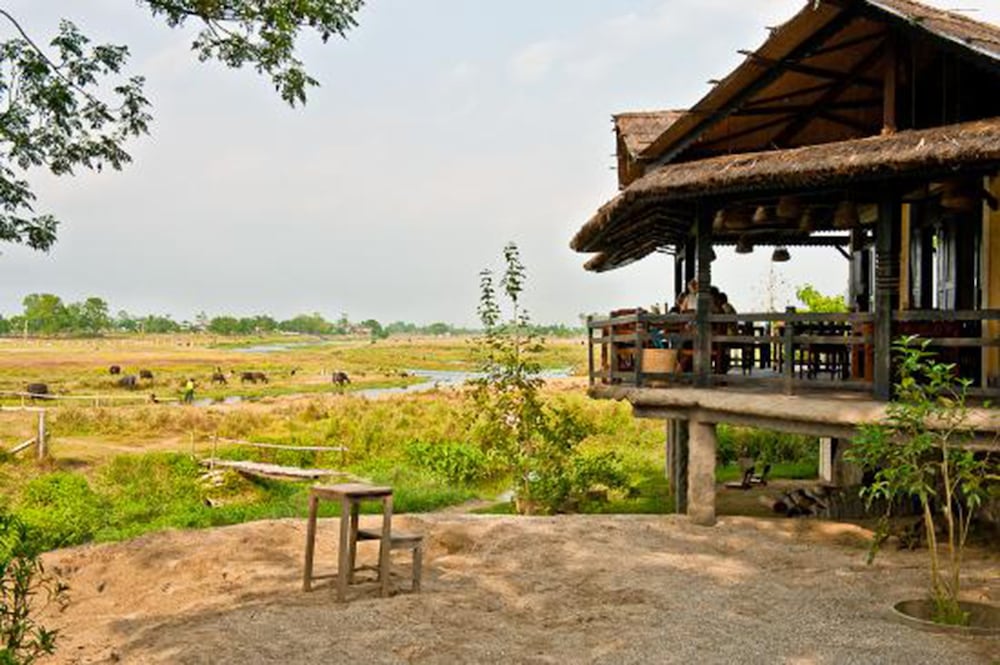 Lake view