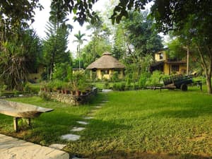 thumbnail: Garden view