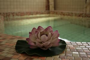 thumbnail: Spa