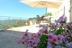 thumbnail: Terrace/patio