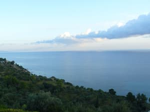 thumbnail: View from property