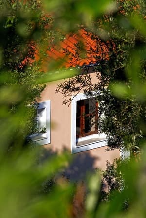 thumbnail: Exterior detail