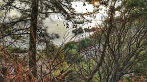 thumbnail: Hiking