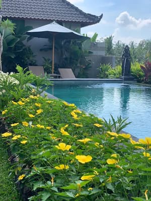 thumbnail: Pool