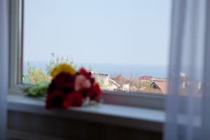 thumbnail: View from room