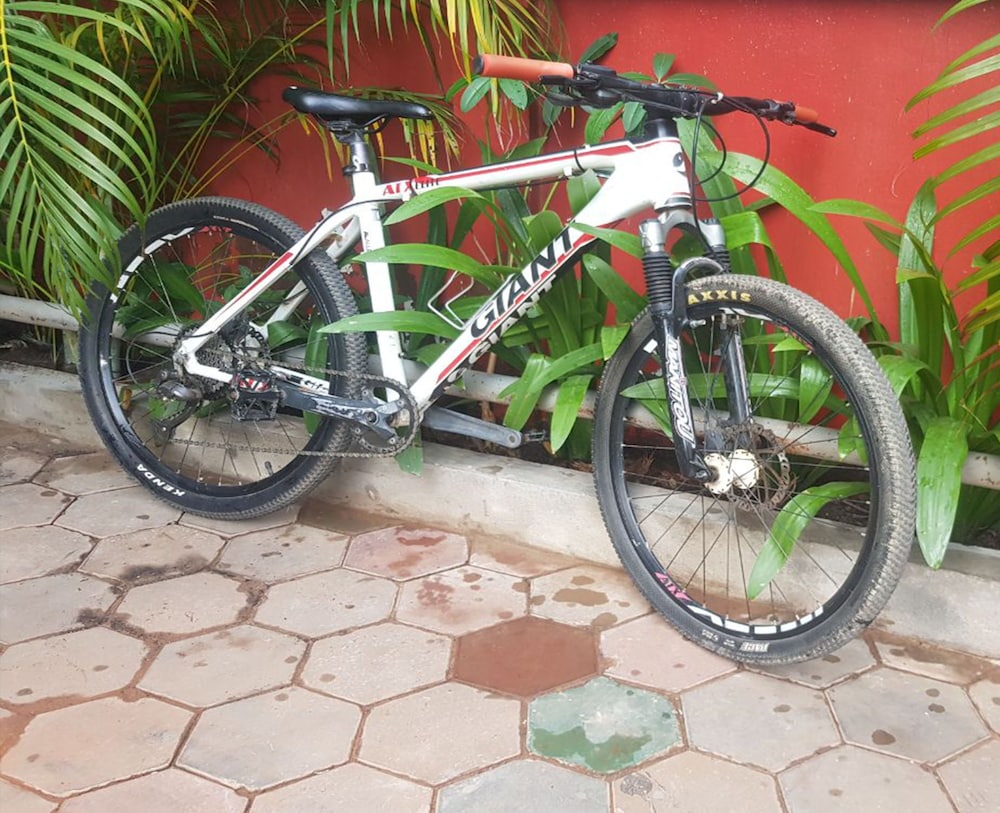 Bicycling