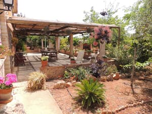 thumbnail: Garden