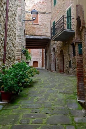 thumbnail: General view