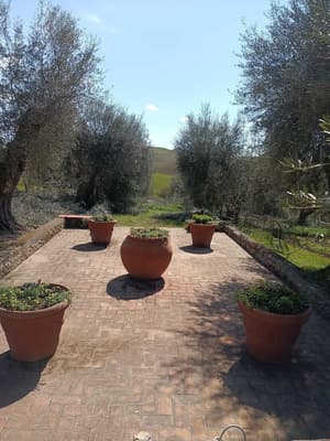 thumbnail: Garden