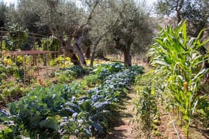 thumbnail: Garden