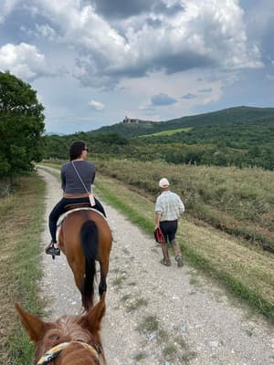 thumbnail: Horseback riding
