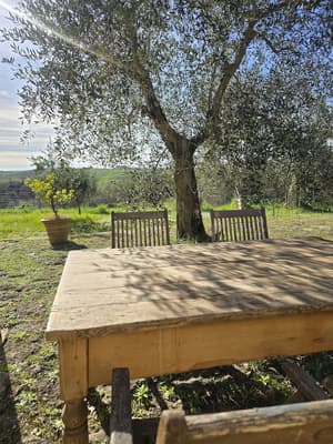 thumbnail: Terrace/patio