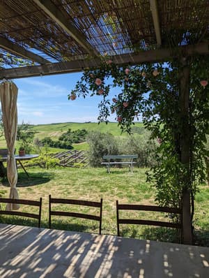 thumbnail: Land view from property