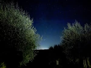 thumbnail: View from property