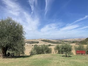 thumbnail: View from property