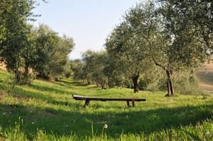thumbnail: BBQ/picnic area