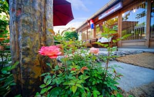 thumbnail: Terrace/patio