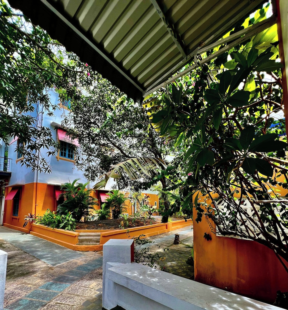 Garden view