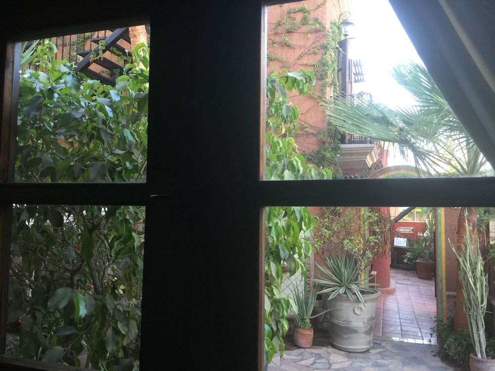 View from room