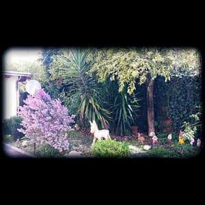 thumbnail: View from property