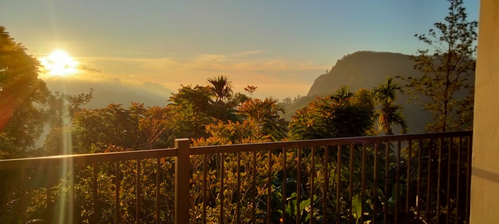 View from room