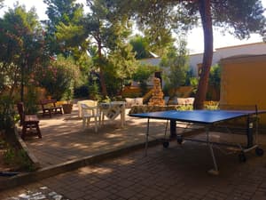 thumbnail: Garden