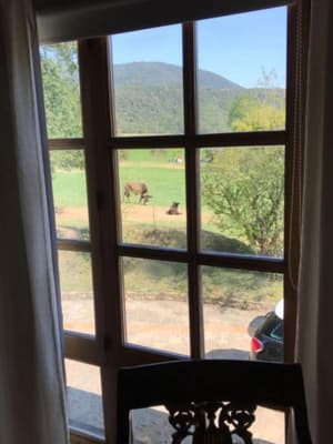 thumbnail: View from property