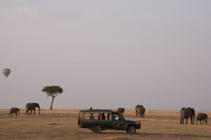 thumbnail: Game viewing
