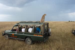 thumbnail: Game drive