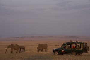 thumbnail: Game drive