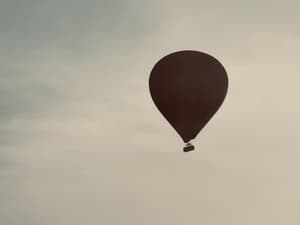 thumbnail: Safari