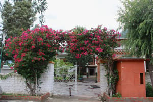 thumbnail: Front of property