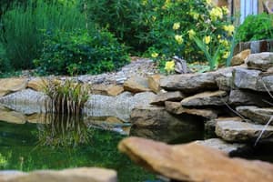 thumbnail: Property grounds