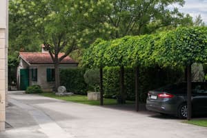 thumbnail: Parking