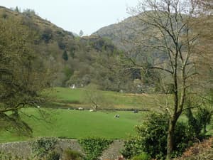 thumbnail: Land view from property