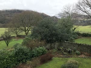 thumbnail: Garden view