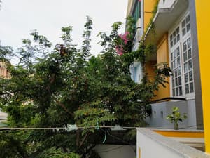 thumbnail: Exterior
