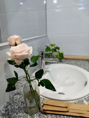 thumbnail: Bathroom sink