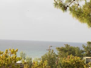 thumbnail: View from property