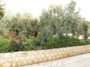 thumbnail: Garden