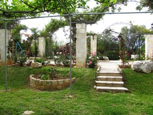 thumbnail: Garden