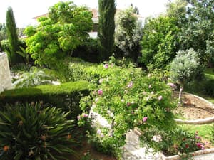 thumbnail: Garden