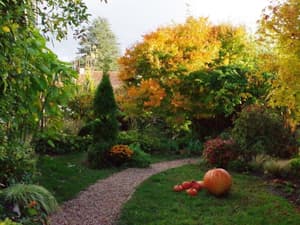 thumbnail: Garden