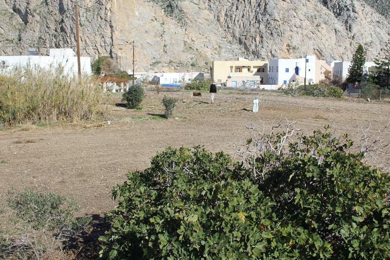 General view