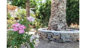 thumbnail: Property grounds