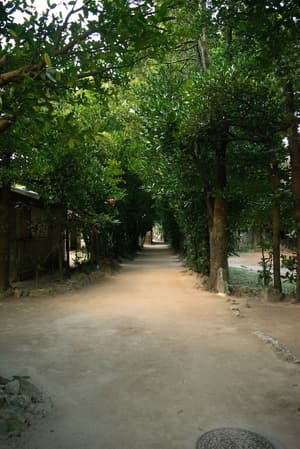 thumbnail: Land view from property