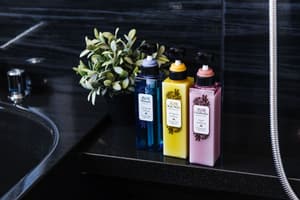 thumbnail: Bathroom amenities