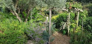 thumbnail: General view