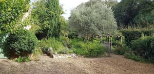 thumbnail: General view