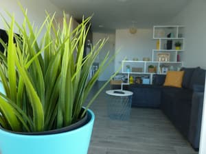 thumbnail: Living area